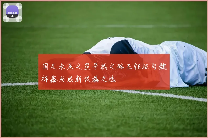 国足未来之星寻找之路王钰栋与魏祥鑫或成新武磊之选